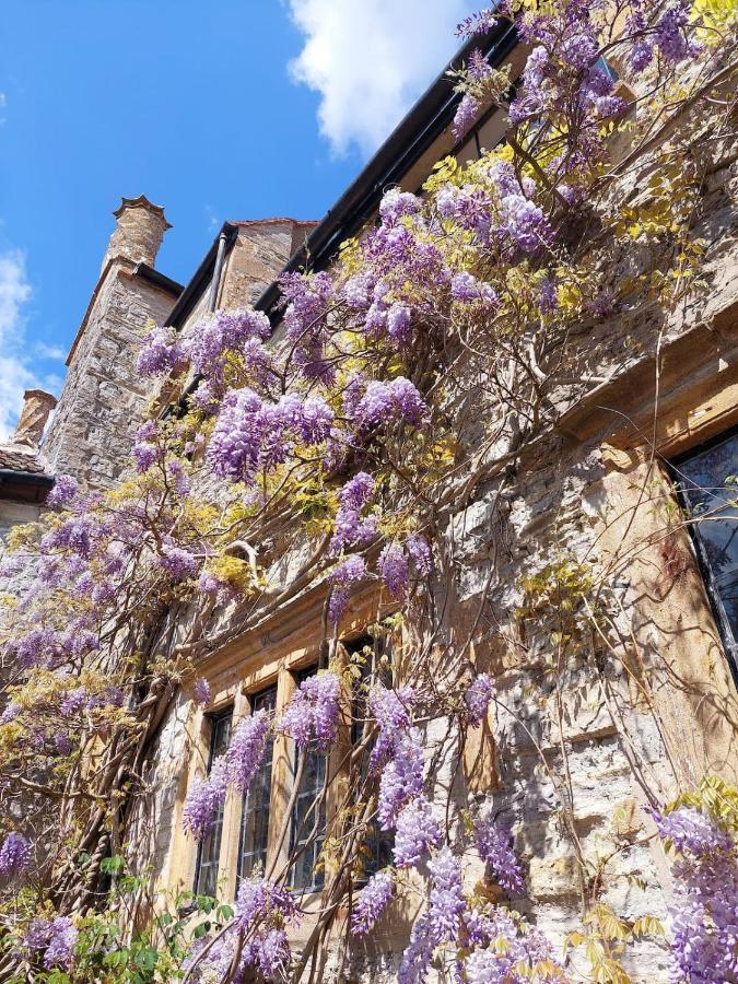 تونتون The Manor House, Curry Mallet المظهر الخارجي الصورة